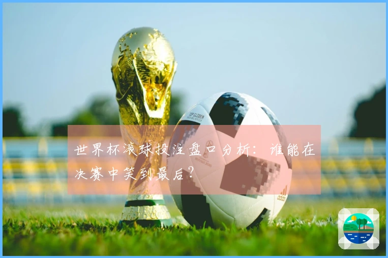世界杯滚球投注盘口分析：谁能在决赛中笑到最后？