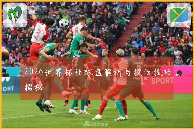 2026世界杯让球盘解析与投注技巧揭秘