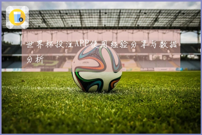 世界杯投注APP使用经验分享与数据分析