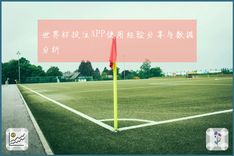 世界杯投注APP使用经验分享与数据分析