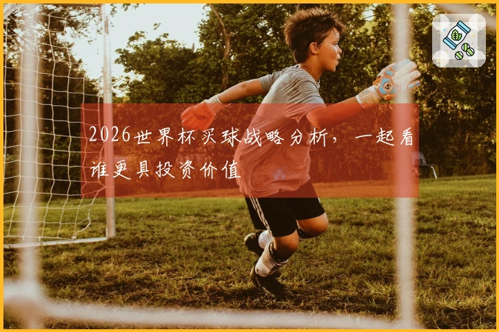 2026世界杯买球战略分析，一起看谁更具投资价值